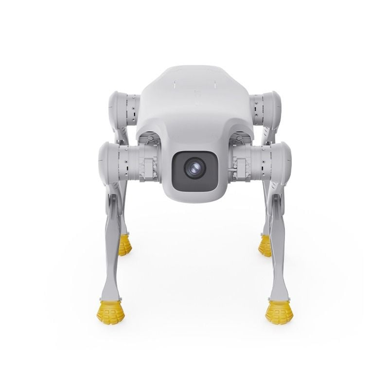 D1 Pro